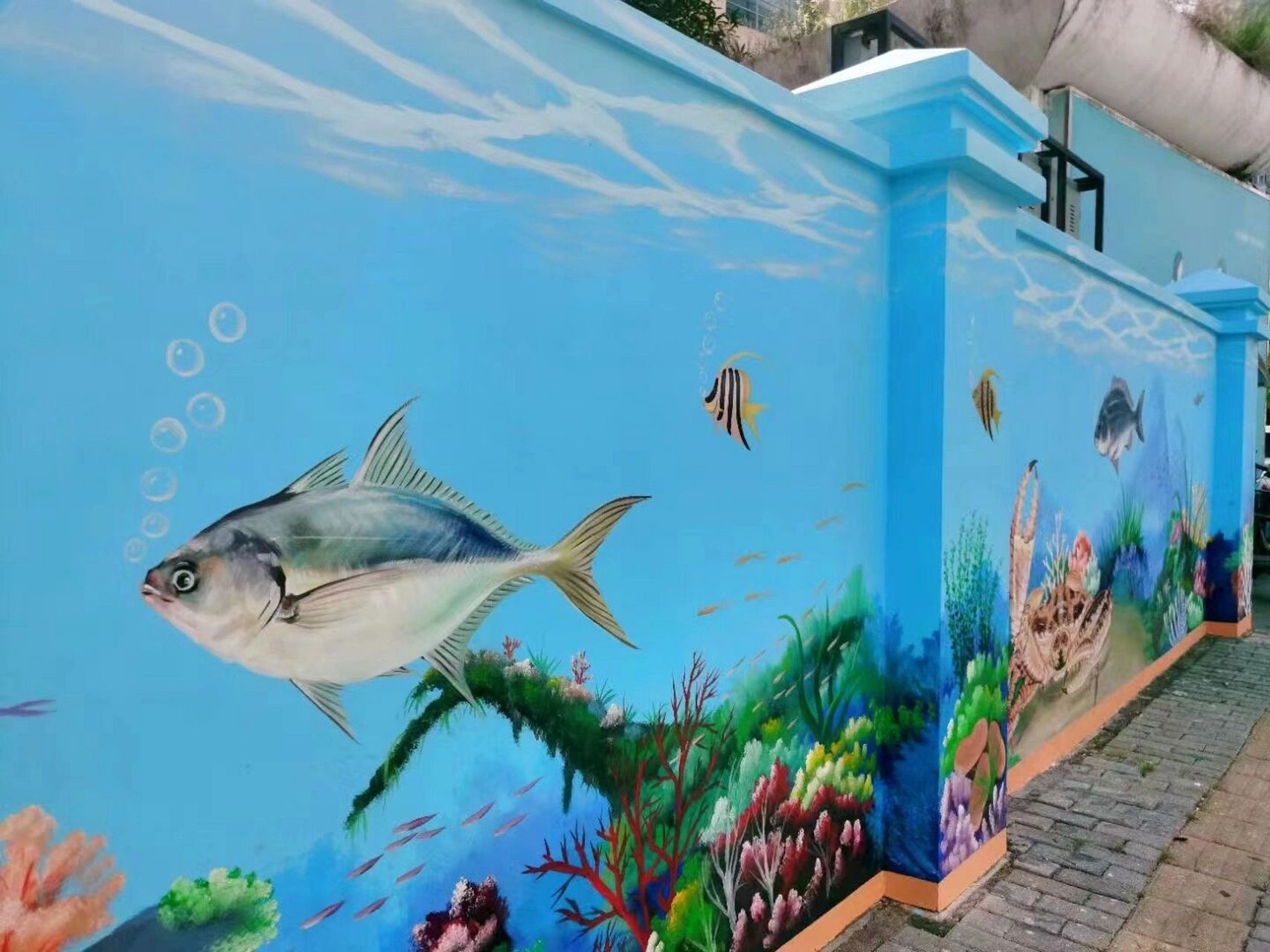 #藝術# #創(chuàng)意墻繪# #墻體彩繪# #海洋生物壁畫# #手繪墻#