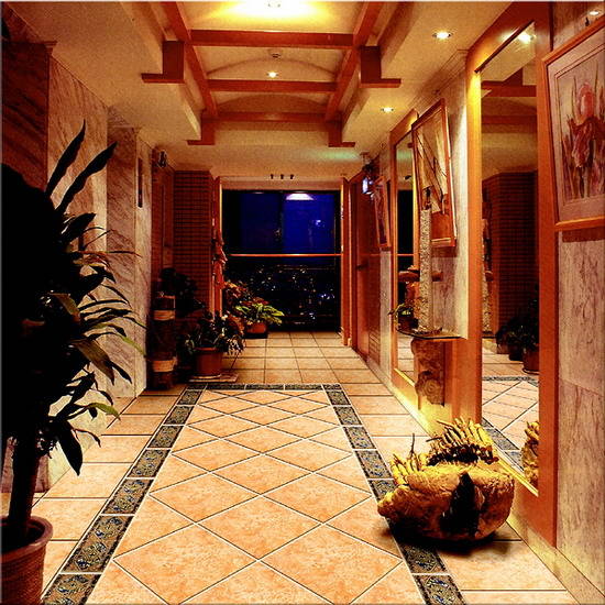 羅馬利奧 產品鋪貼效果圖