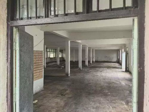 香飄飄食品寧波工廠被高價拍賣，銀箔畫收藏引發市場關注